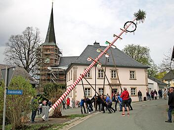 Meter um Meter drücken die zwölf kräftigen Pressecker Männer ihren Maibaum in die Höhe.