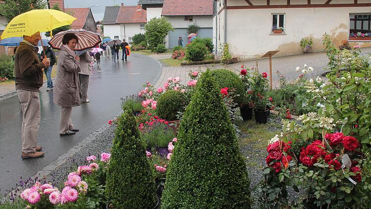 Die dem Dorf Schwärzdorf angepasste Ortsstraße führt an vorbildlich gestalteten Höfen und Häusern mit ansprechendem Blumenschmuck vorbei. Fotos: Herbert Fischer