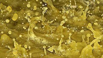 Frisch gepresster Traubenmost, der nun behutsam weiterverarbeitet wird zu Wein.