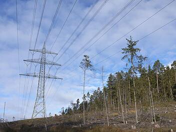 Und damit ist genug:  Hubert Aiwanger, hat  Landrat Sebastian Straubel zugesichert, dass er sich gegen weitere Stromtrassen (wie hier bei Sonnefeld) durchs Coburger Land sperren wird. - Foto: Berthold Köhler