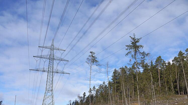 Und damit ist genug:  Hubert Aiwanger, hat  Landrat Sebastian Straubel zugesichert, dass er sich gegen weitere Stromtrassen (wie hier bei Sonnefeld) durchs Coburger Land sperren wird. - Foto: Berthold Köhler
