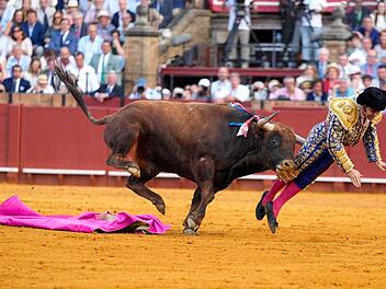 Schwere Verletzung in Sevilla: Stier spie&szlig;t Torero auf