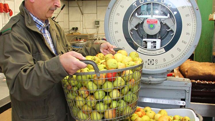 Ab auf die Waage: Rund 100 Kilo Äpfel bringt Matthäus Konrad zum Pressen nach Schwarzach.