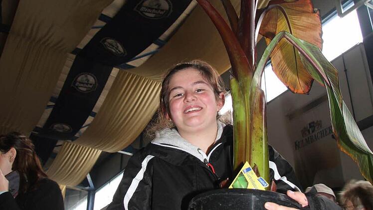 Vanessa Schielke (14) möchte ihr Zimmer begrünen und nimmt eine gigantische Bananenpflanze mit nach Hause.