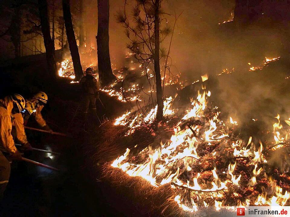 Waldbrand auf der Kanarischen Insel