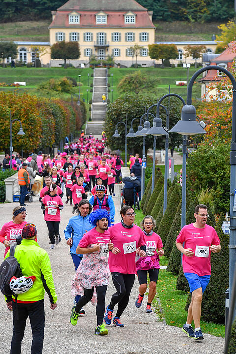 Pinklauf in Bad Brückenau: Rekord erneut geknackt