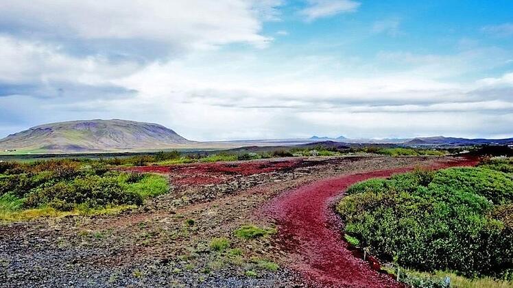 Diese rote Erde findet man auf dem Rundweg um den Krater Kerið.