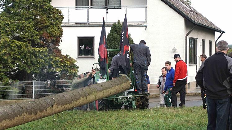 Baumaufstellen in Buch bei Weisendorf