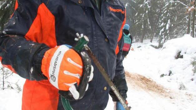 "Normal brauch ich eine Minute, aber die Säge zwickt"; erklärte Boxdörfer