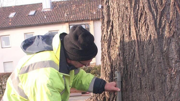 Die Längensensoren werden auf beiden Seiten des Baumes befestigt.