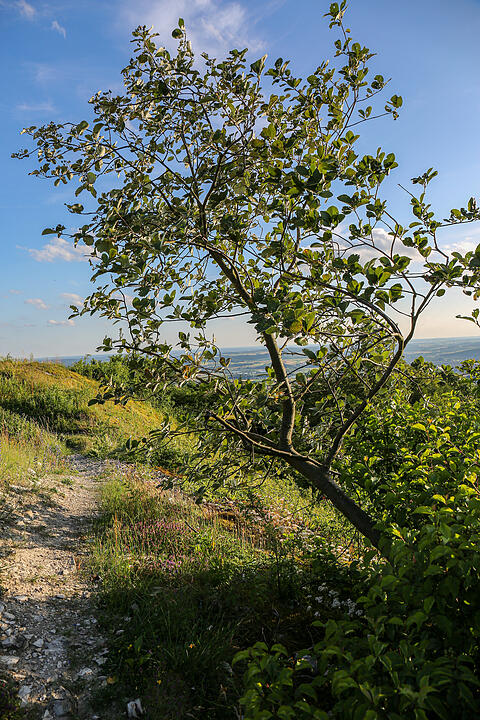 Herrliches Wandergebiet im Bamberger Umland