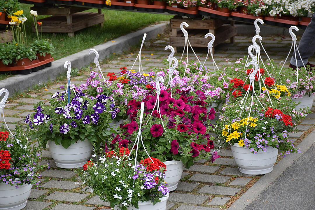 R&ouml;delseer Fr&uuml;hling