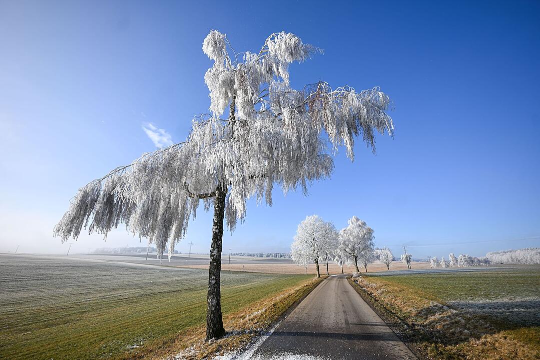 Wetter in Baden-W&uuml;rttemberg
