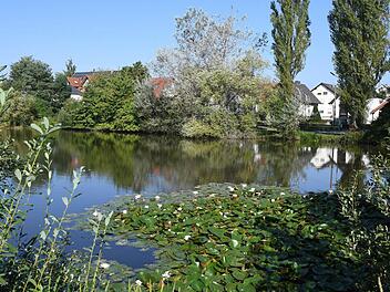 Der "Neue See" in Oberhaid. Angler würden ihn gern nutzen. Doch die Beratungen darüber, wie mit dem Gewässer weiter verfahren werden soll, stehen noch am Anfang.  Foto: Ronald Rinklef