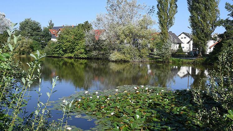 Der "Neue See" in Oberhaid. Angler würden ihn gern nutzen. Doch die Beratungen darüber, wie mit dem Gewässer weiter verfahren werden soll, stehen noch am Anfang.  Foto: Ronald Rinklef