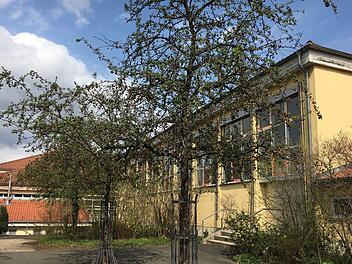Ein Rollo an der Tür  der kleinen Schulturnhalle in Hallstadt war während eines Blutspendetermins im Gebäude heruntergekracht.Foto: Anette Schreiber