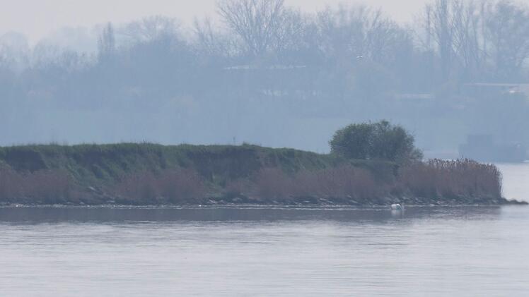 Rettungsaktion f&uuml;r den Buckelwal