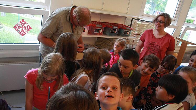Großes Krabbeln in der Sinnberg-Grundschule: Dr. Oliver Geißler hat im Klassenzimmer eine Ameisenstraße aufgebaut.  Foto: Carmen Schmitt
