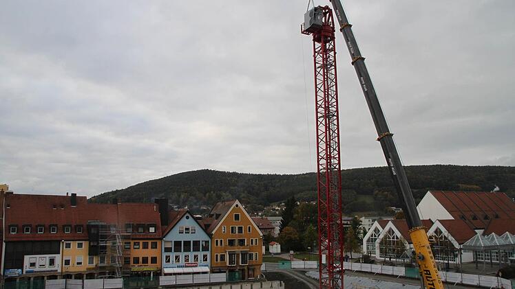 So wächst der Riesenkran