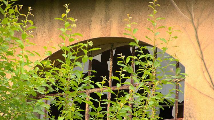 Die Fenster sind eingeworfen.