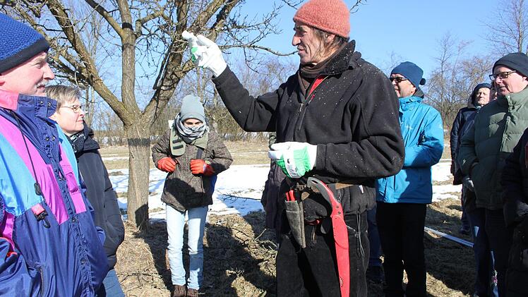 Impressionen vom Baumpflegekurs des Gartenbau-Kreisverbands KulmbachDagmar Besand