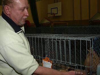 Jürgen Günder präsentierte bei der  Vereinsschau des Kleintierzuchtvereins  Oerlenbach und Umgebung seine Taube "Modena Schietti dominant gelb".  Fotos: Stefan Geiger