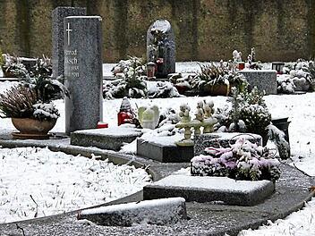 Die Urnenfelder im Kronacher Friedhof könnten Vorbild für ähnliche Einrichtungen in den Stadtteilen sein. Foto: Marco Meißner