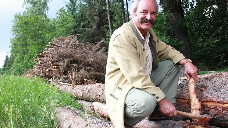 In dem Haufen aus Baumkronen hinter Gunter Hahner hat sich der Kupferstecher breit gemacht. Die Baumstämme der Fichte sind vom Buchdrucker befallen. Das Holz muss so schnell wie möglich aus dem Wald geschafft werden, damit die Borkenkäfer nicht noch mehr Schaden anrichtet. Die Wärme und Trockenheit bieten ihnen im Moment die besten Bedingungen sich zu vermehren. Foto: Carmen Schmitt