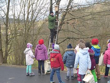 Olaf de Vries hat noch vor den coronabedingten Schließungen der Kindergärten direkt am Kindergarten in Wernarz das erste Häuschen aufgehängt. Foto: Thomas Dill