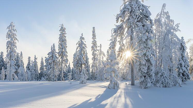 schnee landschaft bäume sonne weiß