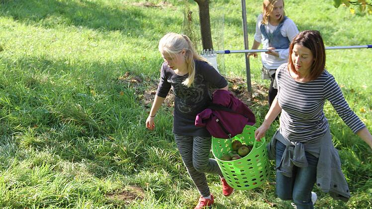 Körbe voll Vitamine für den Winter Foto: Gerda Völk