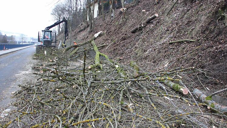 Die Stämme wurden in kurze Stücke geschnitten und verladen. Foto: Friedwald Schedel