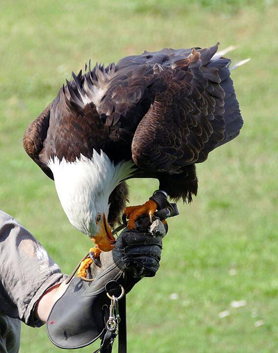 Ein Besuch im Wildtierpark Schloss Tambach. Danke an inFrankenPix-Nutzer herzolife!