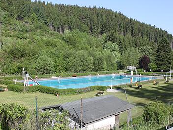 Das Ludwigsstadter Freibad zählt zu den ältesten im Landkreis Kronach und weist einen erheblichen Sanierungsbedarf auf. Es ist das einzige Freibad in der Rennsteigregion.  Foto: Veronika Schadeck
