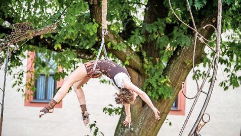 Beim Zirk-Art-Festival in Forchheim  Foto: Tom Schneider