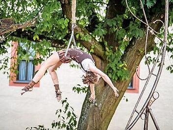 Beim Zirk-Art-Festival in Forchheim  Foto: Tom Schneider