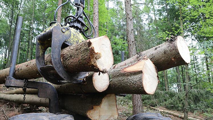 Beim Holzrücken werden große Mengen Holz - "Festmeter" - bewegt.