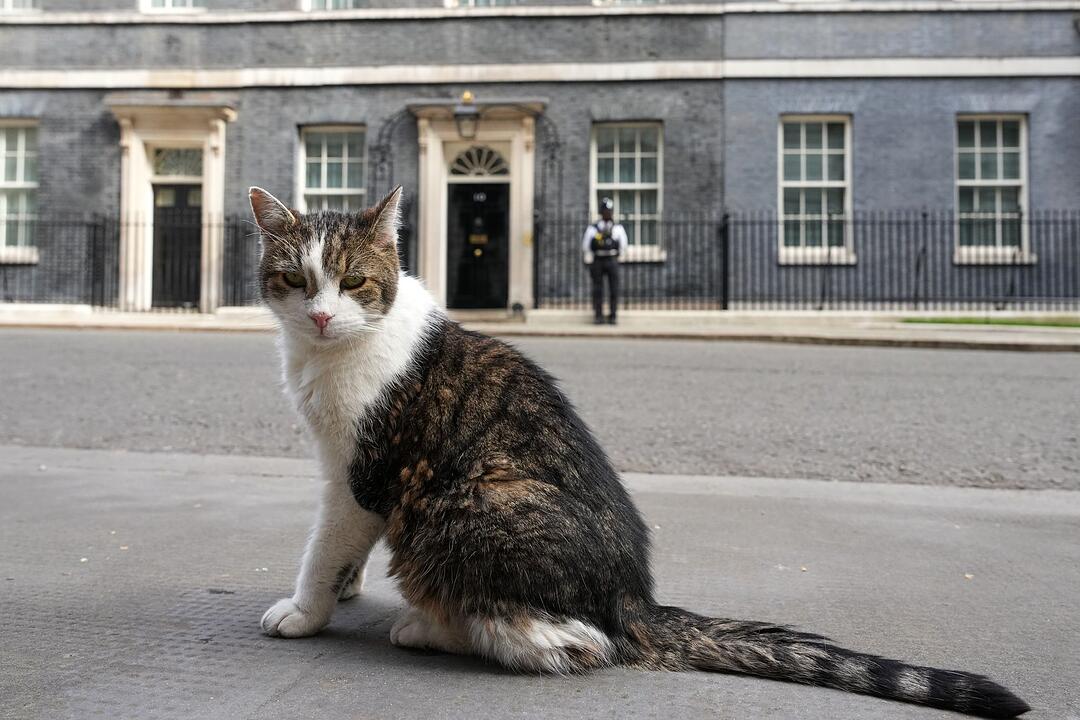 Nach den Wahlen in Gro&szlig;britannien