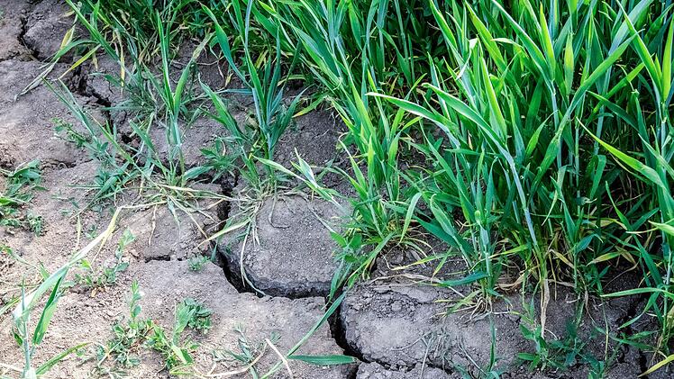Risse im trockenen Boden eines Feldes