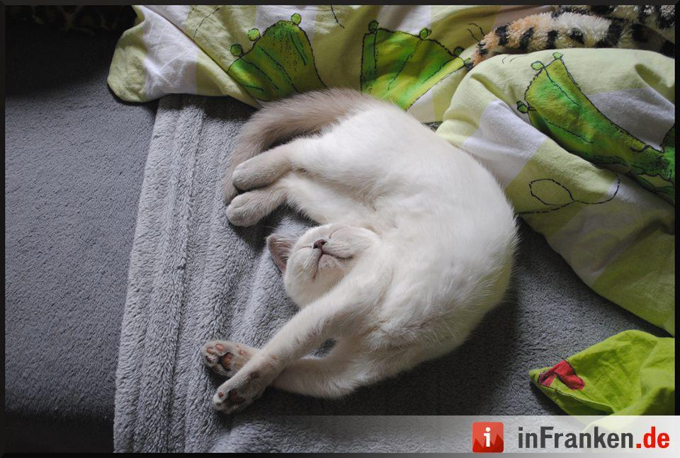 Foto: Melinda Feulner