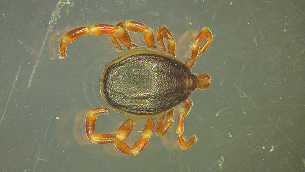 F97115_20190221_120712_344