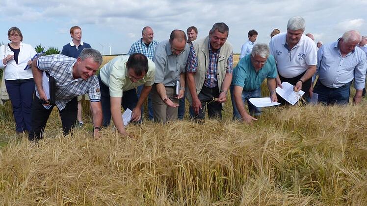 Besichtigt wurde bei der Braugerstenrundfahrt der 1,38 Hektar umfassende Schlag Melm mit der Sorte Solist von Günther Kolb in Thurnau-Lochau. Ein Bestand, der sich sehen lassen kann, wie die Experten meinten. Foto: Klaus-Peter Wulf