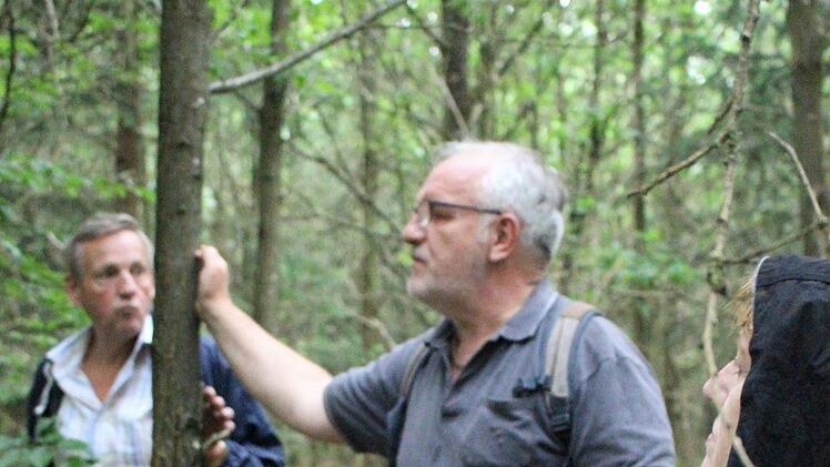 200 Jahre sollen diese jungen Eichen mal werden. Jochen Manke (Mitte) ist für die Entnahme gleichalter Fichten, um bessere Bedingungen für das Wachstum zu schaffen. Foto: Julia Raab
