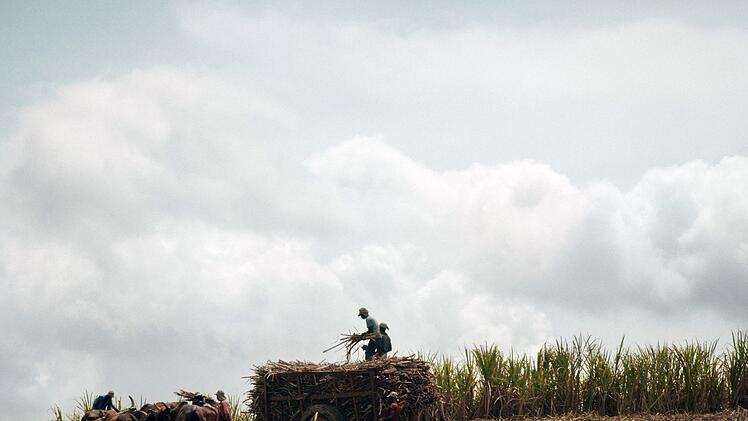 "Für mich ist das Zuckerrohrschneiden die schlimmste Arbeit der Welt", sagt im Film einer der schlecht bezahlten Arbeiter auf einer der Zuckerrohrplantagen.