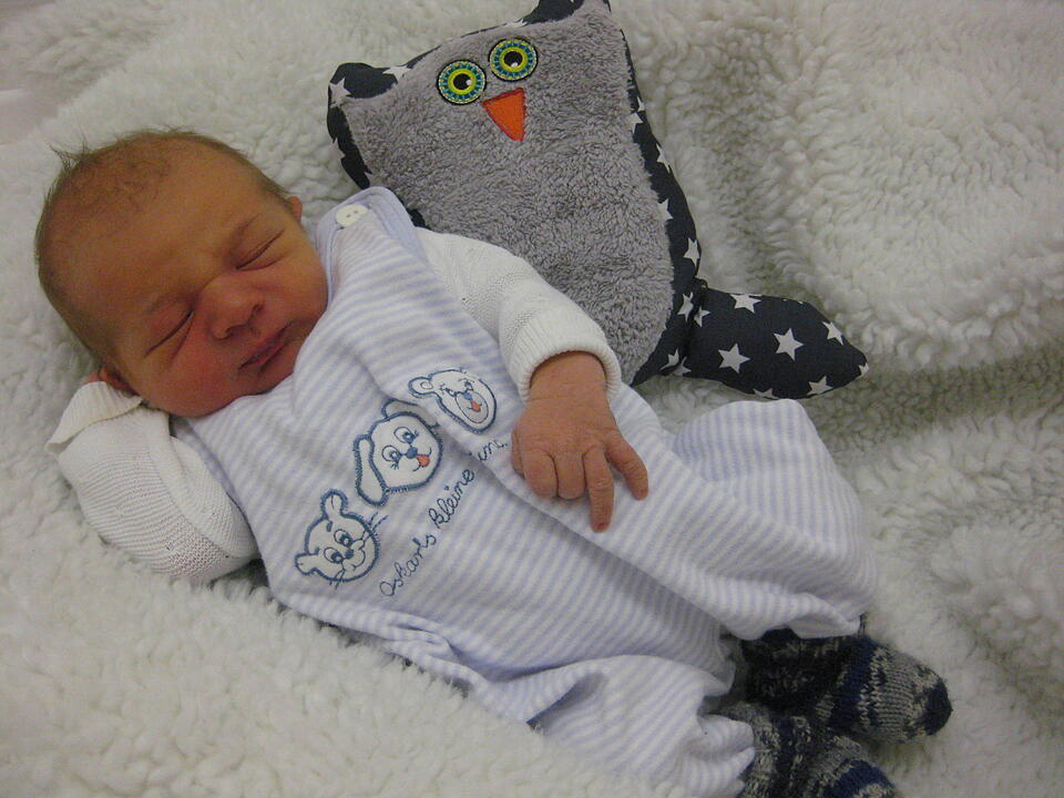 Babygalerie 334