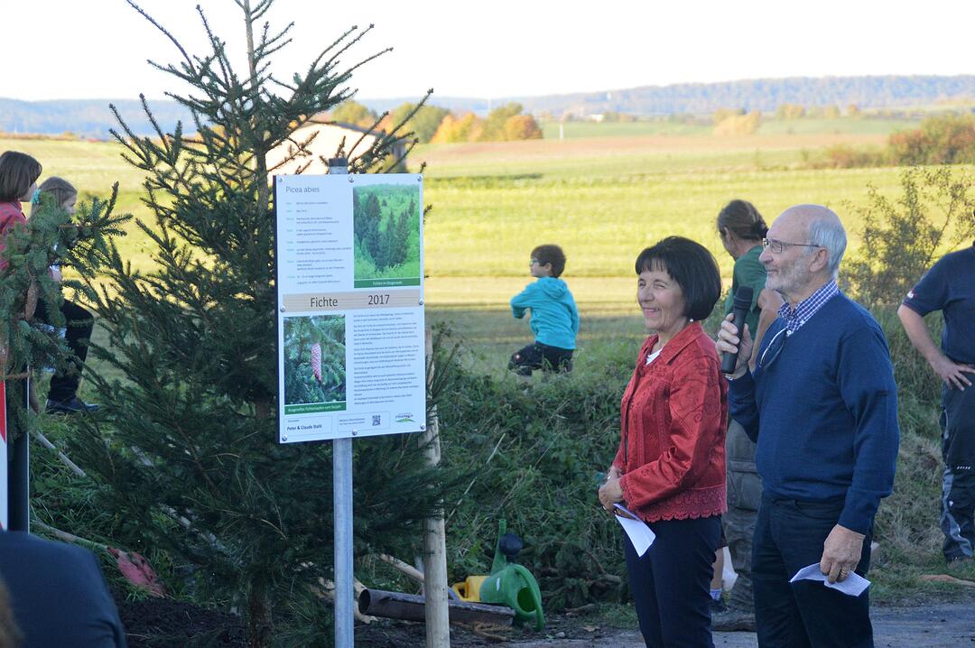 Holztag Scheinfeld 2017
