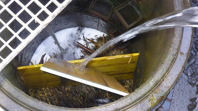 Vom Entwässerungsfeld fließt das Wasser in den Schacht, in dem sich ein Biberpaar einen Rückzugsort eingerichtet hat.