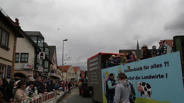 Beim Faschingszug in HirschaidWerner Baier