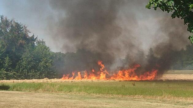 Diese Freifl&auml;che fing bei Steinach Feuer. Fotos: privat