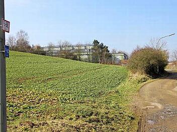 In diesem Bereich östlich der Mittelschule (in Richtung Glöckner-Haus) soll das Blockheizkraftwerk mit einer Größe von 20 auf 15 Metern sowie einer Höhe von fünf Meter in den Hang gebaut werden.  Foto: Ralf Kestel